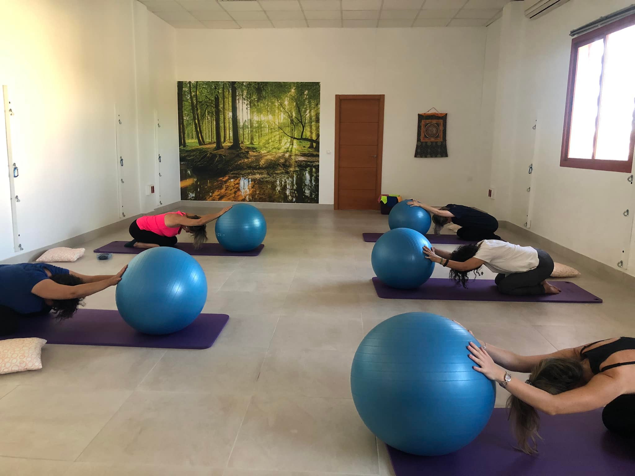 yoga y pilates montequinto